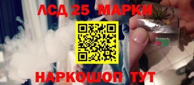 прущие грибы Будённовск