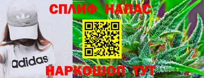 spice Балашиха